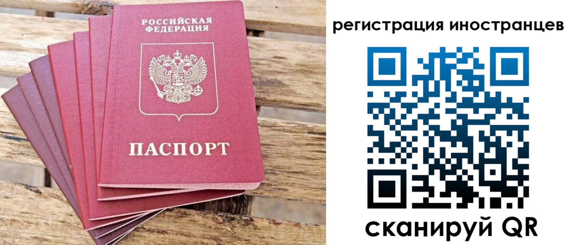 временная прописка в Фрязино